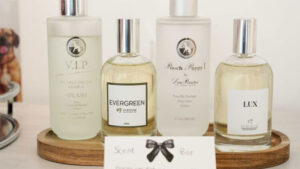 Lucky Paws: The Luxury Pet Grooming Experience