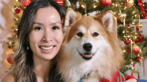 Lucky Paws: Where luxury grooming meets modern hospitality